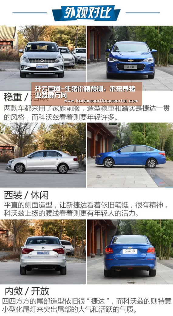 开云官网-生猪价格预测,未来养猪业发展方向(图1) 开云官网