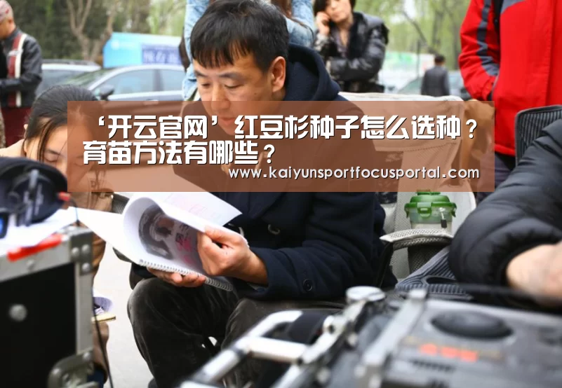‘开云官网’红豆杉种子怎么选种?育苗方法有哪些?(图1) 开云官网
