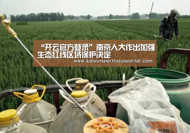 开云官方登录