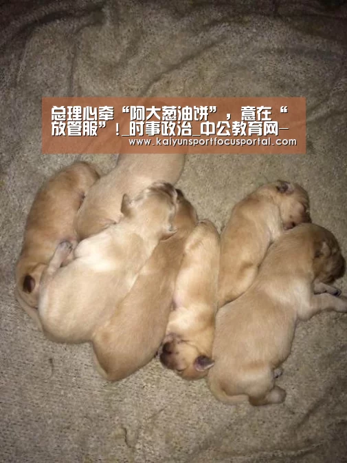 开云官网