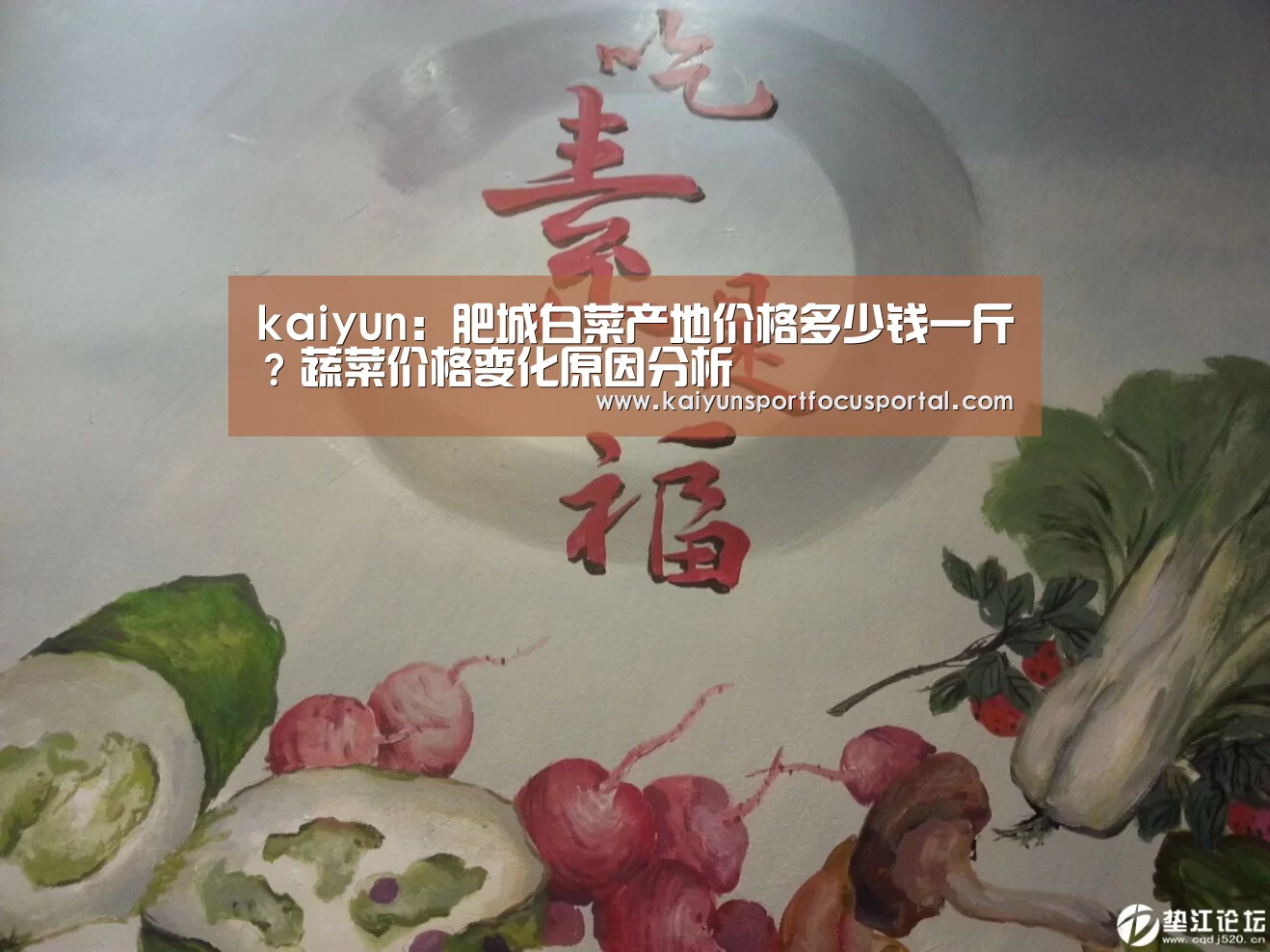 kaiyun：肥城白菜产地价格多少钱一斤？蔬菜价格变化原因分析(图1)