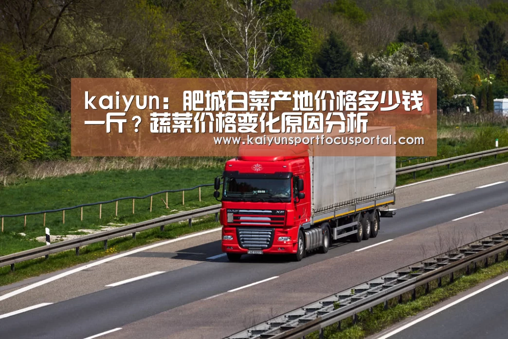 kaiyun：肥城白菜产地价格多少钱一斤？蔬菜价格变化原因分析(图2)