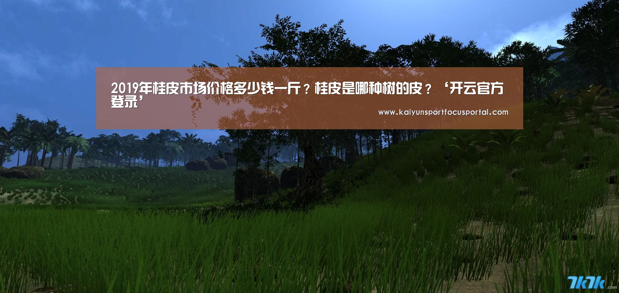 开云官网