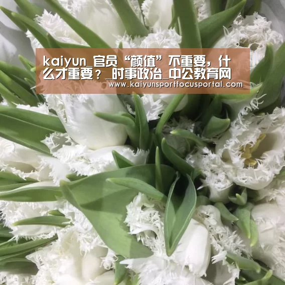 开云官方登录