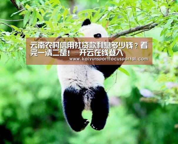 开云官方登录