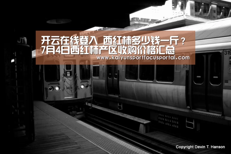 开云在线登入_西红柿多少钱一斤？7月4日西红柿产区收购价格汇总(图2)