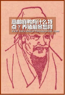 高邮麻鸭有什么特点？养殖前景怎样？看一则高邮麻鸭养殖致富案例‘开云官网’(图1)