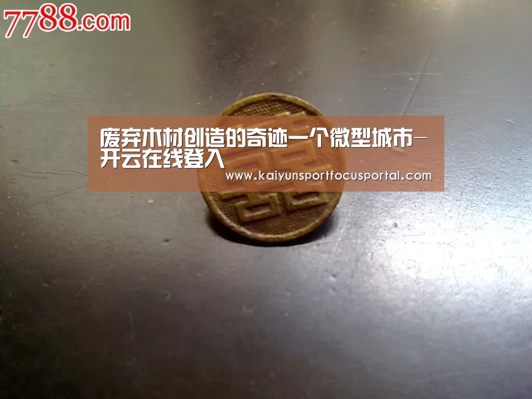 废弃木材创造的奇迹一个微型城市-开云在线登入
